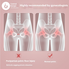 Pelvic Floor Muscle Trainer
